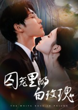 囚笼里的白玫瑰（59集）推荐短剧每天更新