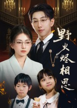 野火烬相思（61集）短剧精彩不容错过