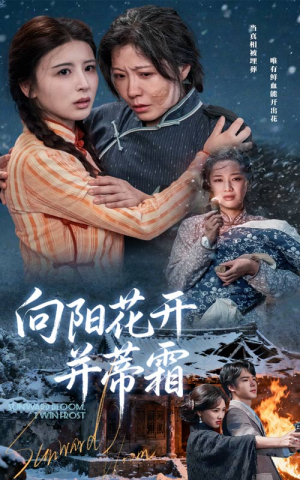 向阳花开并蒂霜（60集）热门短剧推荐短剧片段