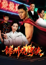锦州烧烤侠（20集）经典老剧短剧免费看