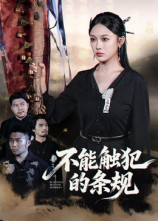 不能触犯的条规（50集）番茄小说免费看短剧