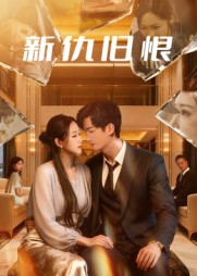 新仇旧恨（51集）在线免费观看排行榜前十短剧