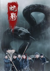 蛇影（25集）短剧经典全集任你选