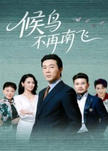 候鸟不再南飞(80集) 候鸟不再南飞(80集)免费的短剧就是爽