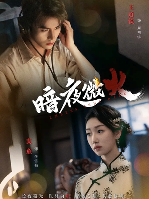 暗夜微火（80集）短剧完整版全集放送