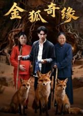 金狐奇缘(42集) 金狐奇缘(42集)零成本看完的短剧集合