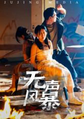 无声风暴(33集) 无声风暴(33集)好看又精彩的短剧