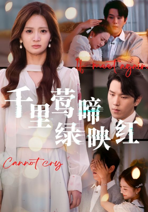 千里莺啼绿映红(63集) 千里莺啼绿映红(63集)一毛不花追完短剧