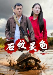 石纹灵龟(30集) 石纹灵龟(30集)爆款短剧正在热播