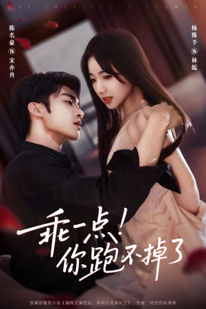 乖一点！你跑不掉了（85集）好看的古装短剧推荐