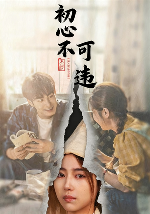 初心不可违（62集）分享短剧每天更新