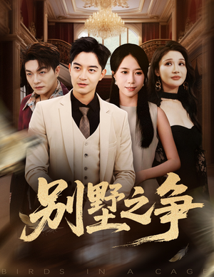 别墅之争(59集) 别墅之争(59集)短剧追到爽全集完整版