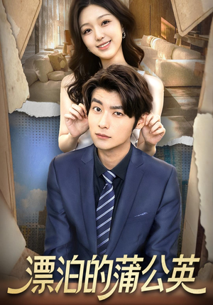 漂泊的蒲公英(60集) 漂泊的蒲公英(60集)短剧收官全集限免看