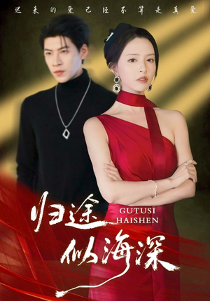 归途似海深(61集) 归途似海深(61集)真的太好看了短剧推荐