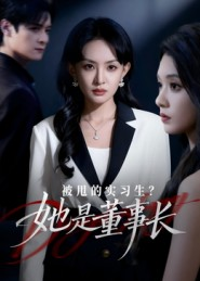 被甩的实习生?她是董事长!(59集) 被甩的实习生?她是董事长!(59集)番茄小说免费看短剧