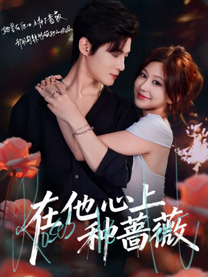 在他心上种蔷薇（81集）短剧热播中抢先看