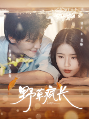 野草疯长（71集）短剧爆款全集在线播