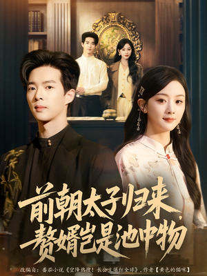 前朝太子归来,赘婿岂是池中物(80集) 前朝太子归来,赘婿岂是池中物(80集)排行榜前十短剧免费看