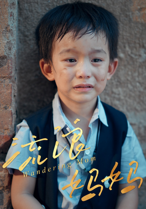 流浪妈妈(30集) 流浪妈妈(30集)全集短剧我都看完了