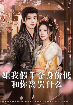嫌我假千金身份低，和你离哭什么（120集）红果免费短剧app免费看全集
