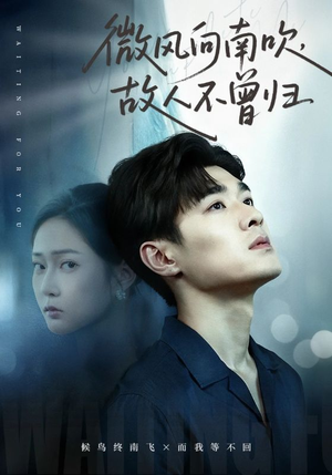 微风向南吹,故人不曾归(72集) 微风向南吹,故人不曾归(72集)精彩短剧追不停