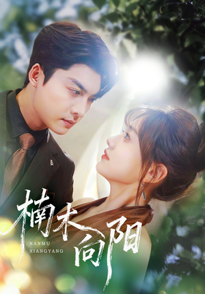 楠木向阳（70集）短剧上头又好看