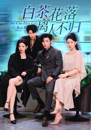 白茶花落离人（51集）剧好看短剧推荐