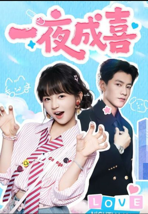 一夜成喜（60集）短剧全集高清无码版