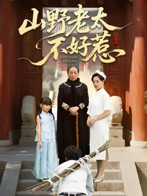 奶奶一脚震全城（64集）爆款热播短剧抢先看