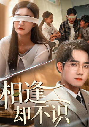 相逢却不识（77集）看上一眼就上头短剧