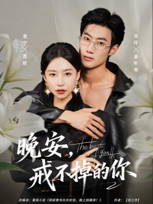 晚安，戒不掉的你（68集）短剧大结局全集特惠