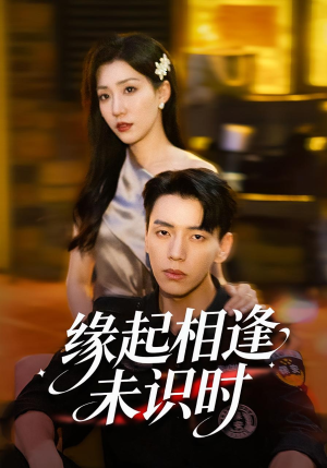 缘起相逢未识时（57集）下崽红果短剧免费看全集