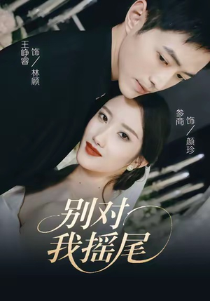 别对我摇尾（59集）精彩短剧分享。