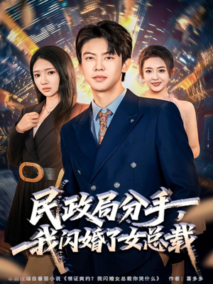 民政局分手，我闪婚了女总裁（72集）真的太好看了短剧分享平台
