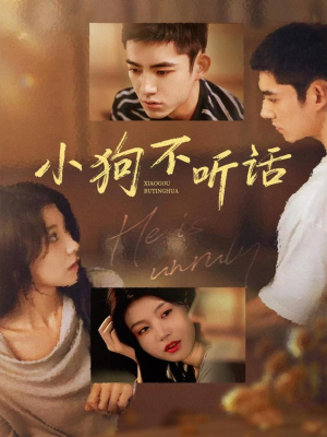 小狗不听话（70集）短剧推荐超甜网剧