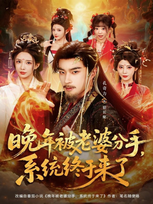 晚年被老婆分手，系统终于来了（80集）精彩短剧连连免费看
