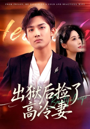 出狱后捡了高冷妻(71集) 出狱后捡了高冷妻(71集)短剧全集抢先看