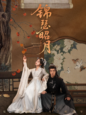 锦瑟昭月（68集）热门短剧又来了