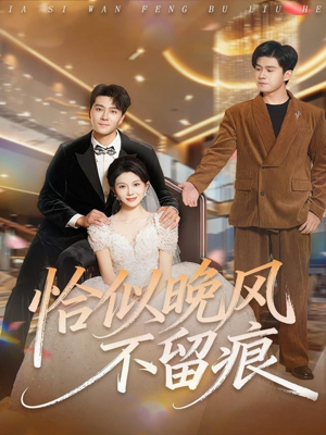 恰似晚风不留痕（61集）常回家看看短剧