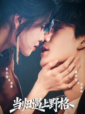 当归遇上野格（66集）享受免费看短剧大结局
