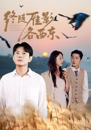 终随雁影各西东（86集）甜宠短剧追到爽