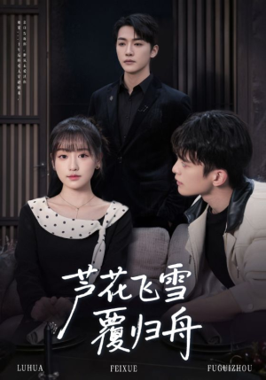 芦花飞雪覆归舟（77集）好看的短剧分享给大家