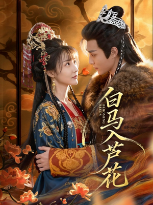 白马入芦花（59集）热播短剧推荐点击抢先观看