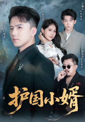 护国小婿(60集) 护国小婿(60集)经典回顾短剧免费看