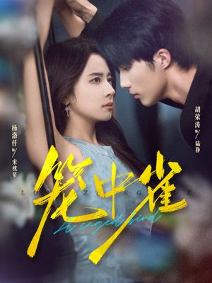 笼中雀（65集）在线免费看最新短剧