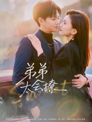 弟弟太会撩(81集) 弟弟太会撩(81集)火爆短剧精彩分享