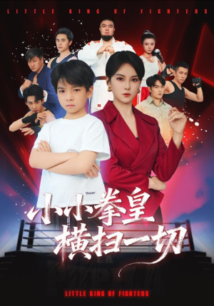 小小拳皇横扫一切（60集）短剧在哪个平台看好