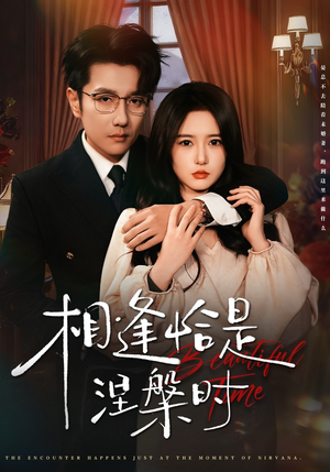 相逢恰是涅槃时（63集）韩国短剧精彩片段