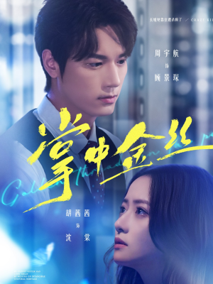 长姐她竟是隐藏大佬（60集）一口气看完全集短剧