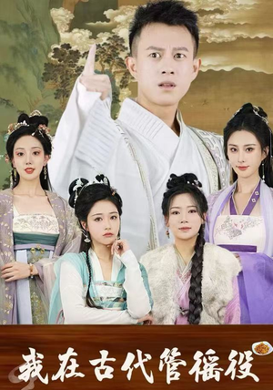 假官真坐（95集）热播短剧抢先看全集